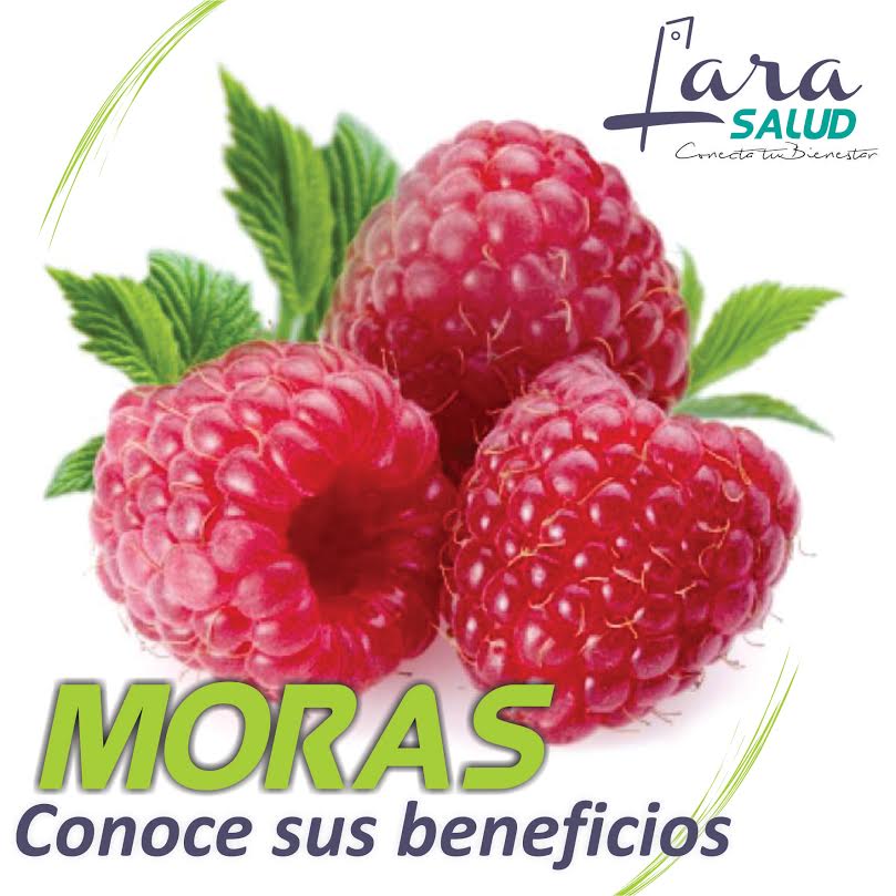 La fruta de la semana la Mora, conoce sus beneficios.